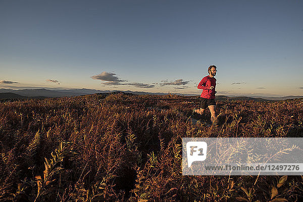 Trail runner at sunset running in an open field.