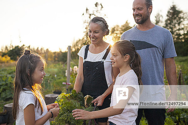 Familie lächelt bei der Ernte von Gemüse aus ihrem Garten in Fort Langley