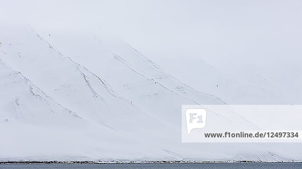White Snowy Mountains mit arktischen Meer im Vordergrund in Spitzbergen  Svalbard