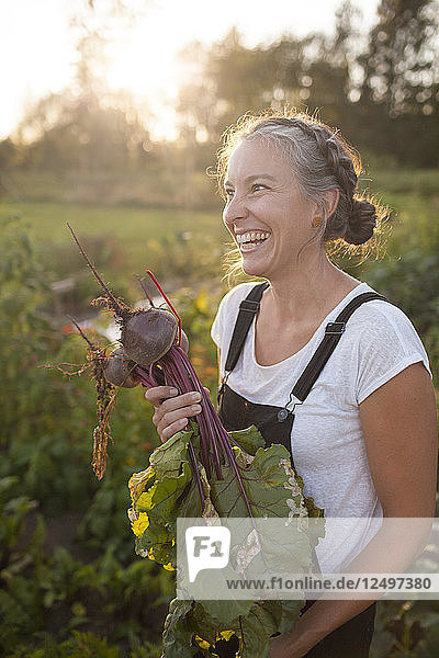 Glückliche Frau hält einen Klumpen frisch gepflückter Rüben aus ihrem Garten in Fort Langley
