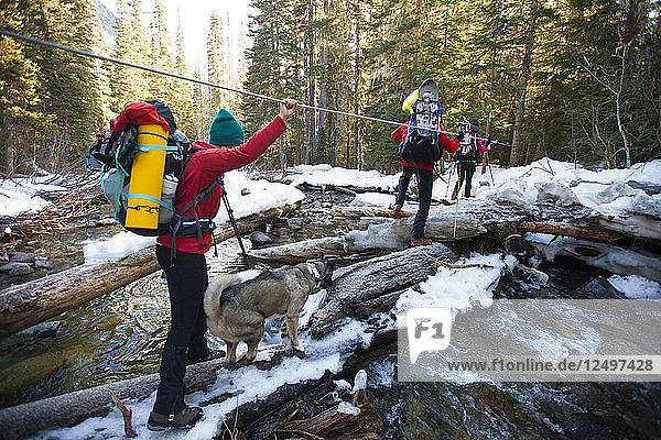 Three backpackers and a dog cross Cerise Creek via a slippery log jam.