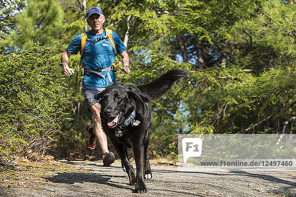 A man tries to keep up with his dog while on the trails of New Hampshire.