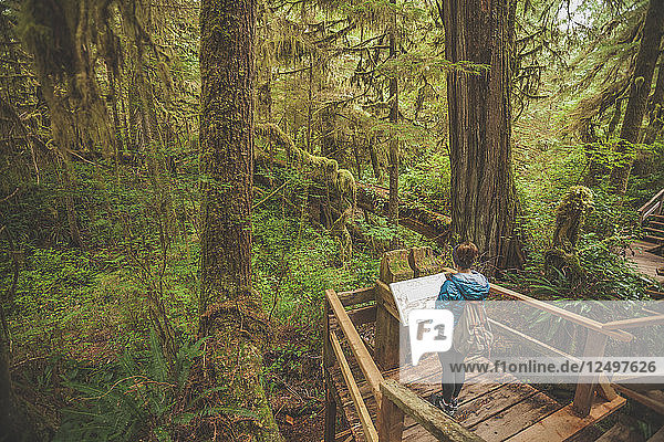 Eine Frau liest ein Hinweisschild entlang des Regenwaldpfads im Pacific Rim National Park  British Columbia