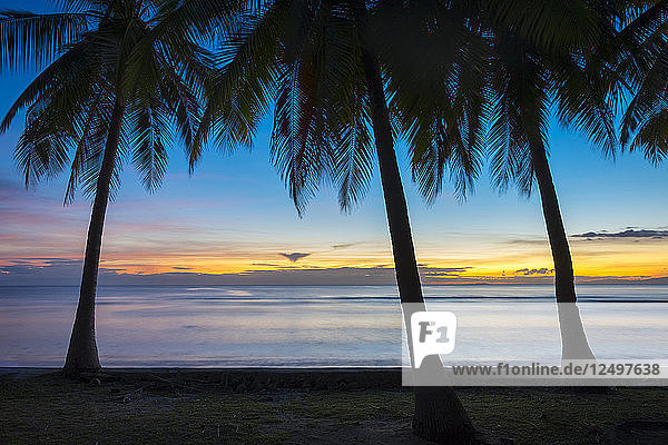 Palmen bei Sonnenuntergang am Strand von San Juan  San Juan  Insel Siquijor  Central Visayas  Philippinen