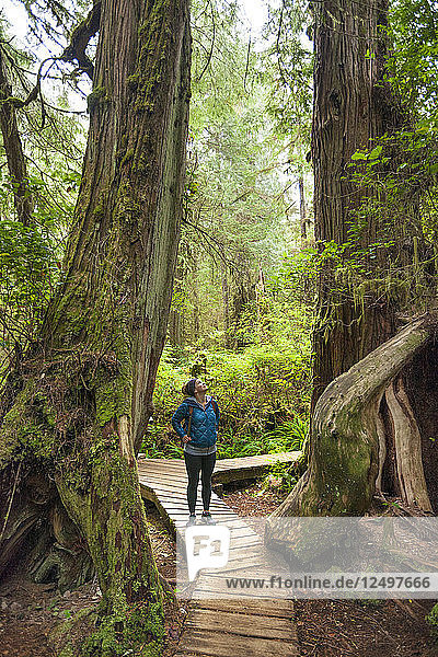 Wandern auf dem Rainforest Trail im Pacific Rim National Park  British Columbia