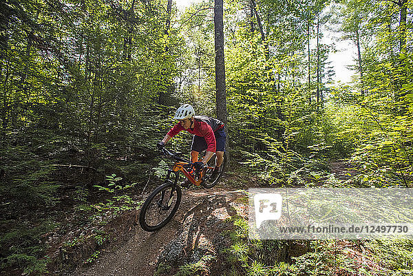Mann Mountainbiking durch einen Trail Wald in North Conway  New Hampshire