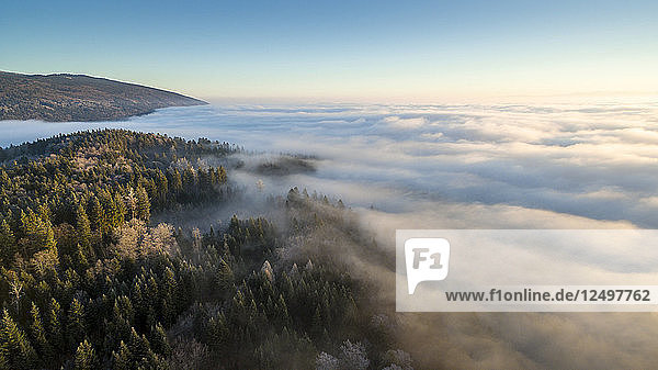 schöner Sonnenaufgang über einem Nebelmeer und den mit Fichtenwäldern bedeckten Bergen im Kanton Waadt  Schweiz