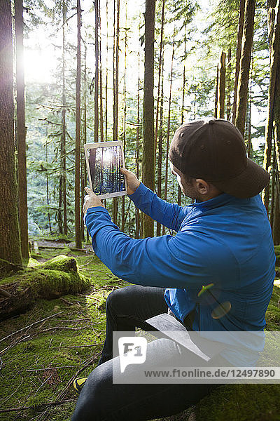 A man takes a picture of the morning sun shining through the forest with a tablet.