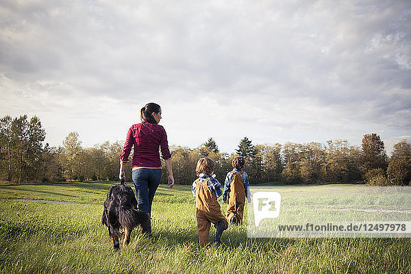 A mother walks through a grassy field with her two boys and Bernese Mountain Dog.