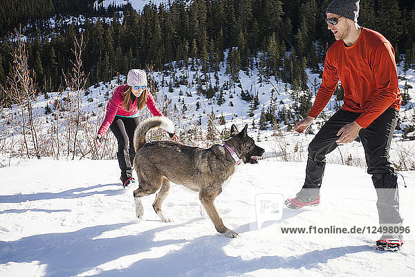 Ein aktives junges Paar versucht  seinen Hund beim Wandern in British Columbia  Kanada  zu fangen.