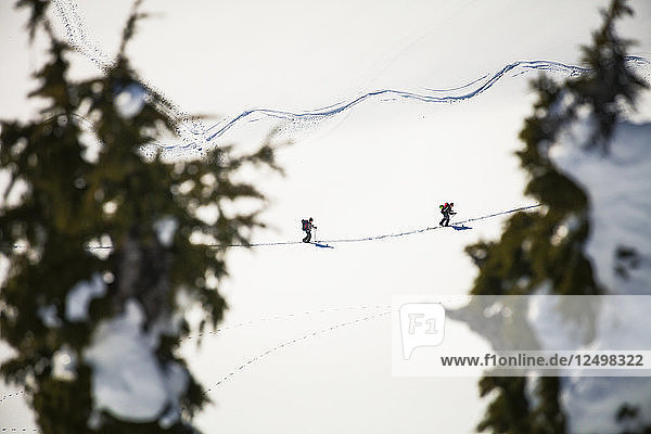 Langzeitbelichtung von Backcountry-Skifahren im Garibaldi Provincial Park  British Columbia  Kanada
