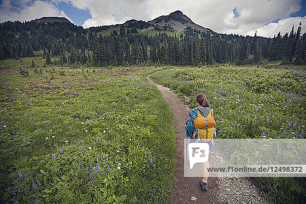 A young woman hiking through Taylor Meadows in Garibaldi Provincial Park  British Columbia  Canada.