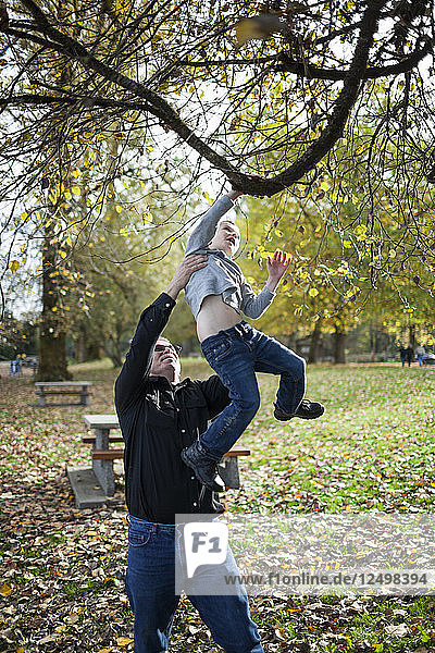 A Grandfather Lifts His Grandson To Hang On A Tree Branch