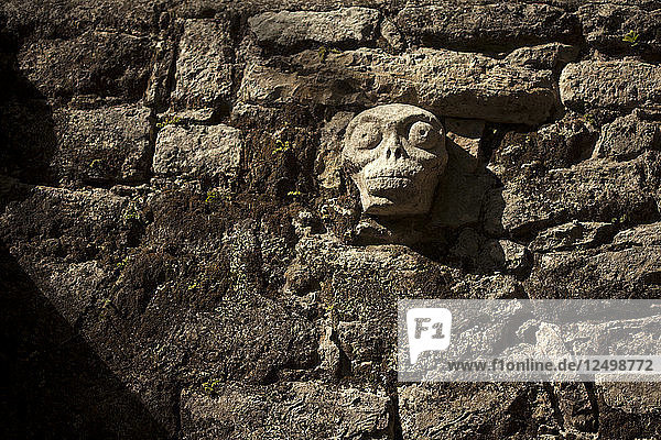 Eine Schädelskulptur schmückt die Maya-Stadt Coba  Halbinsel Yucatan  Mexiko