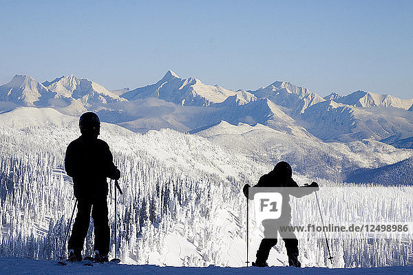 Silhouette Of Young Skiers Standing On Top Of Snowy Landscape