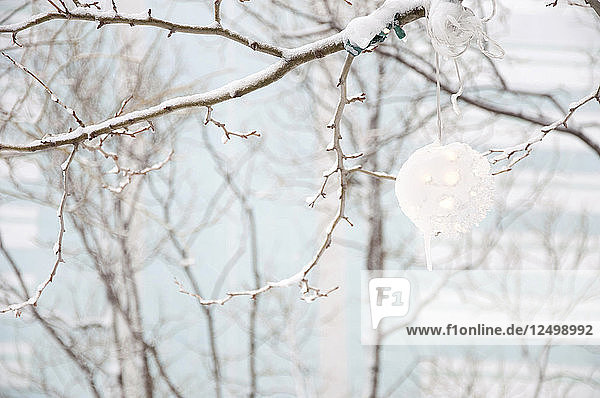 Schnee- und eisbedecktes Lichtornament  das von einem Baumzweig herabhängt