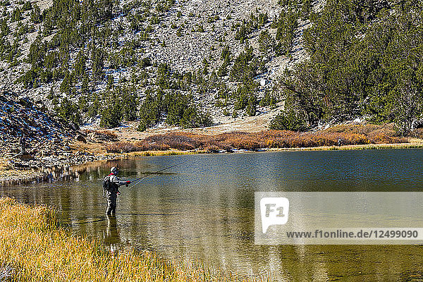 Greg auf der Pirsch nach Lahontan Cutthroats an einem geheimen See in der östlichen Sierra