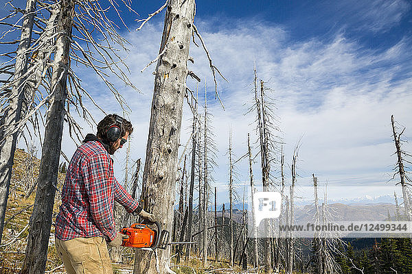 Mann schneidet einen toten Baum im Wald beim Camping in Montana