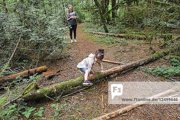 Junges Mädchen klettert bei einer Wanderung in Oregon über einen Baumstamm quer über den Weg