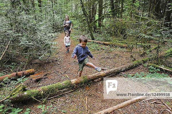 Young Boy Climbing Over A Log Across The Trail While On A Hike In Oregon