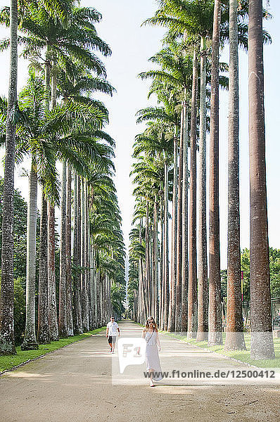 Woman And Man Walking Down A Path Lined With Tall Palm Trees  Brazil