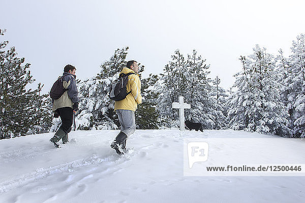 Two hikers at the top of the mountain Golo Brdo (Naked Hill). They go through the wet snow and reach the marble cross which is at the top. At the cross has already reached their dog Jackson (race pulin - Hungarian sheepdog). Shot in southwestern Serbia near the place called Studencia.