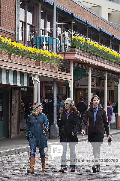 Katie Cox  Suzanne Waldrup und Brooke LaFave spazieren durch die mit Narzissen gesäumten Backsteinstraßen von Seattles Innenstadt.