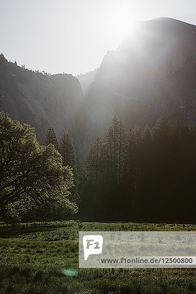 Yosemite-Nationalpark  Kalifornien  USA