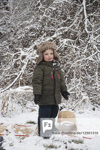 Ein fünfjähriger Junge wird in Marblehead  Massachusetts  auf einem Schlitten durch den Wald gezogen.