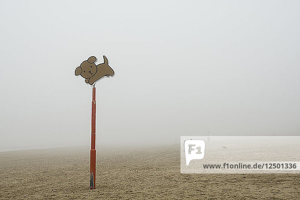 Ein Paar geht mit seinem Hund an einem Schild vorbei  das darauf hinweist  dass Hunde am Strand von Hoek van Holland (Niederlande) erlaubt sind.
