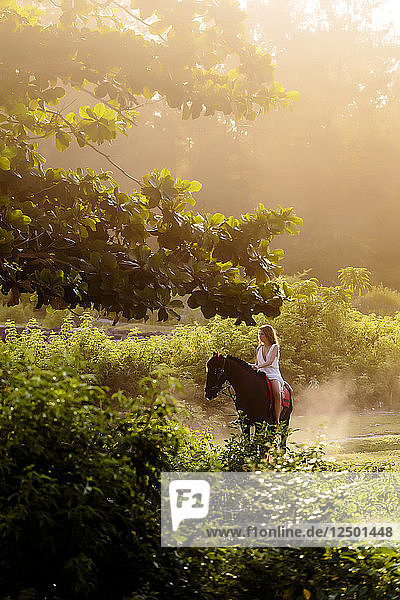Junge Frau reitet Pferd in einer Landschaft mit Bäumen und Büschen bei Sonnenaufgang