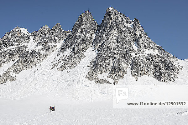 Climbers walk towards a climb on the Pika Glacier in in Little Switzerland in Denali National Park.