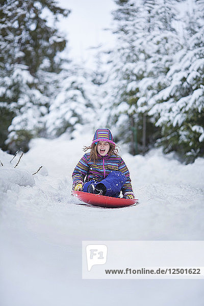Happy Girl Sledding Down On A Snowy Landscape In Sandpoint  Idaho