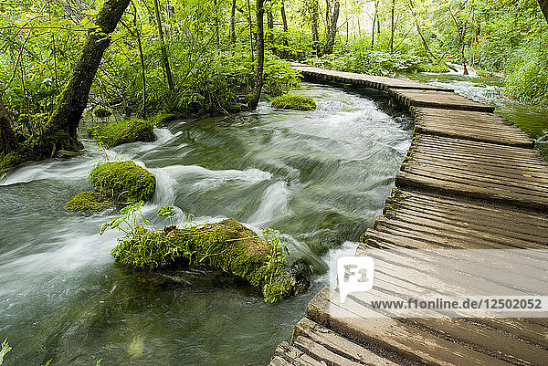 Nationalpark Plitvicer Seen in Kroatien  Europa