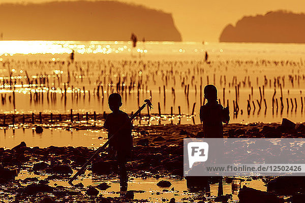 Silhouette von Kindern in einer Seegrasfarm in Sumbawa  Indonesien