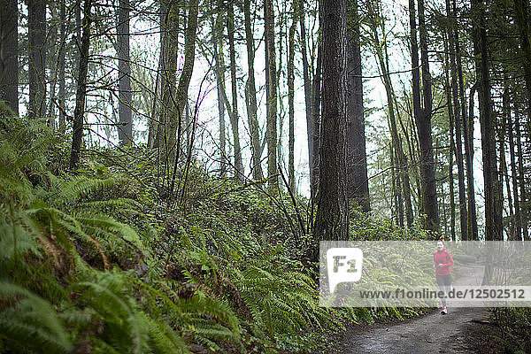 Eine Frau läuft auf dem Pfad im Forest Park in Portland  Oregon  USA