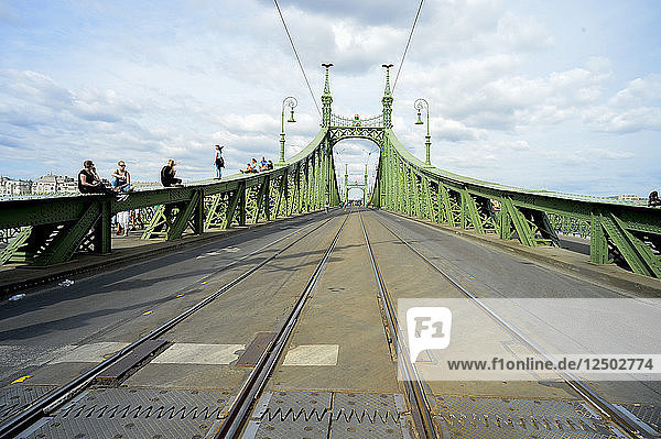 Liberty Bridge On The Danube River  Budapest  Hungary  Europe