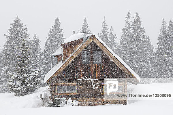 Die Hütte der Saint Paul Lodge am Red Mountain Pass  San Juan National Forest  Colorado.