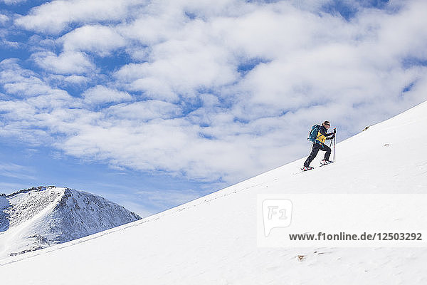 Myl?®ne Jacquemart fährt auf dem Ostgrat des Trico Peak  San Juan National Forest  Colorado  Ski.