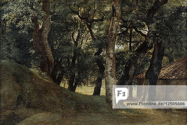 Wald der Villa Borghese  Ende 18./Anfang 19. Jahrhundert. Künstler: Pierre Henri de Valenciennes