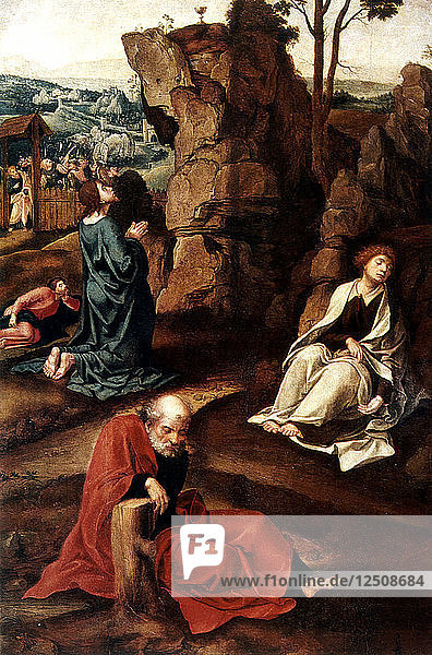 Jesus am Ölberg  16. Jahrhundert. Künstler: Pieter Coecke van Aelst