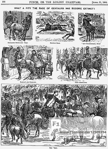 Wie schade  dass die Rasse der Kentauren ausgestorben ist  1866 Künstler: George du Maurier