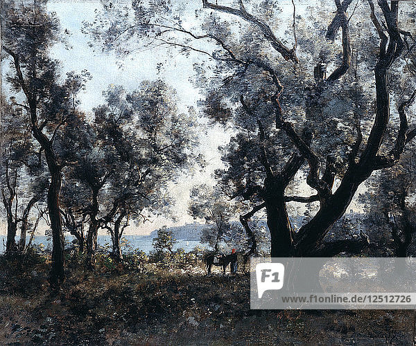 Olivenbäume um Cap Martin  1891. Künstler: Emmanuel Lansyer
