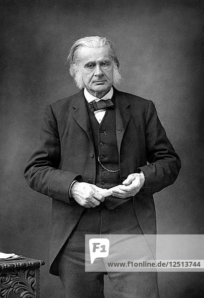 Thomas Henry Huxley  British biologist  c1890. Artist: W&D Downey