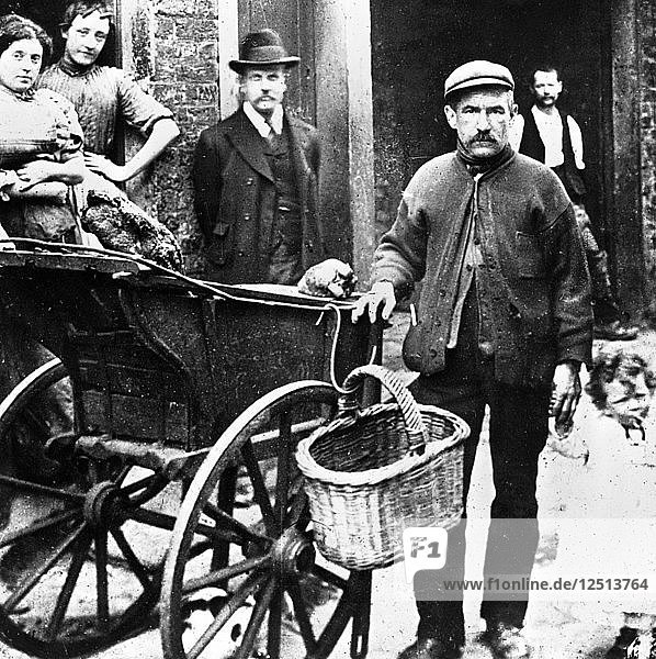 Katzenfleischmann in einer Straße im East End  London  um 1902. Künstler: John Galt