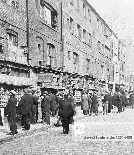 Sonntagsvogelmesse  Sclater Street  in der Nähe der Brick Lane  London  um 1900. Künstler: John Galt
