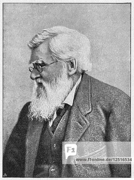 Alfred Russell Wallace  walisischer Naturforscher  um 1895. Künstler: Unbekannt