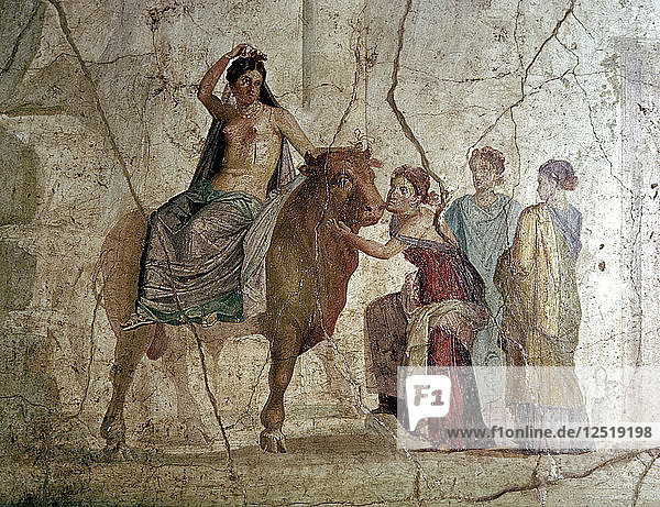 Römisches Wandgemälde Die Vergewaltigung der Europa  Haus des Jason  Pompeji  Italien. Künstler: Unbekannt