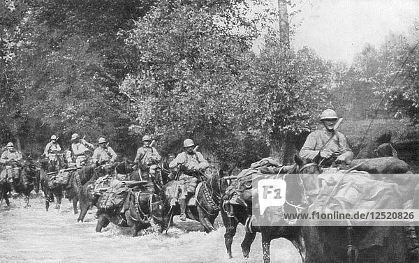 The re-supply of a machine gun unit by horseback  Aisne  France  2 September 1918. Artist: Unknown