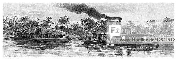 Wollkahn auf dem River Darling  Australien  1886. Künstler: Unbekannt